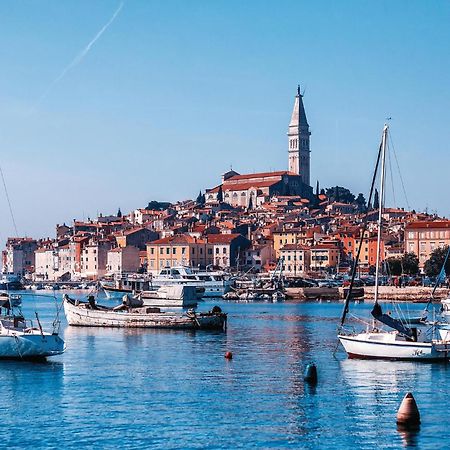Amazing Apartment In Rovinj With Wifi Eksteriør billede